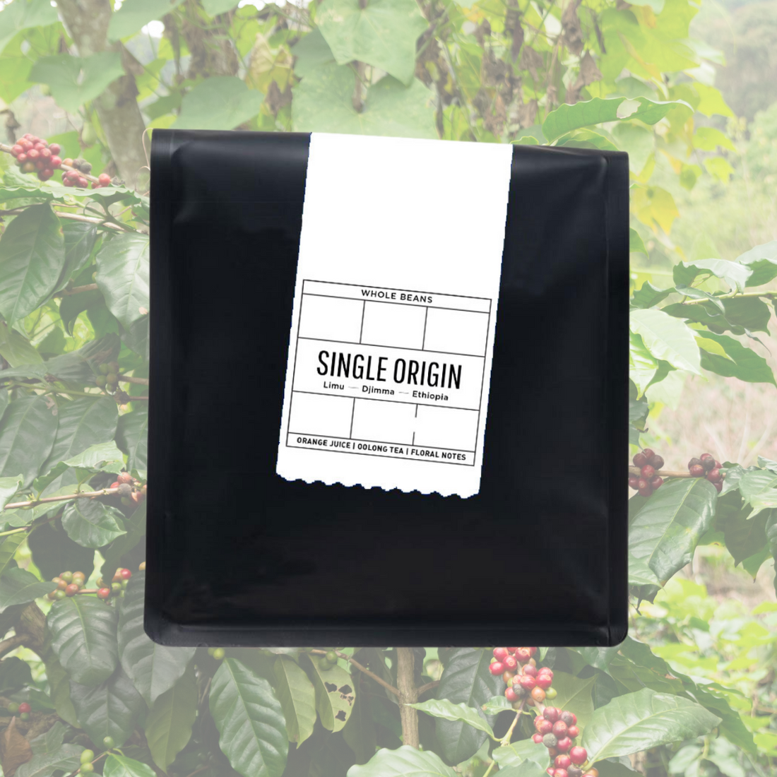 Single Origin Coffee Just Landed